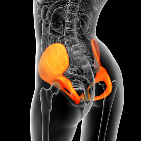 Position Matters… Performance and the Pelvic Floor