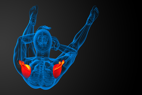 The Foundation of Scapular Stability