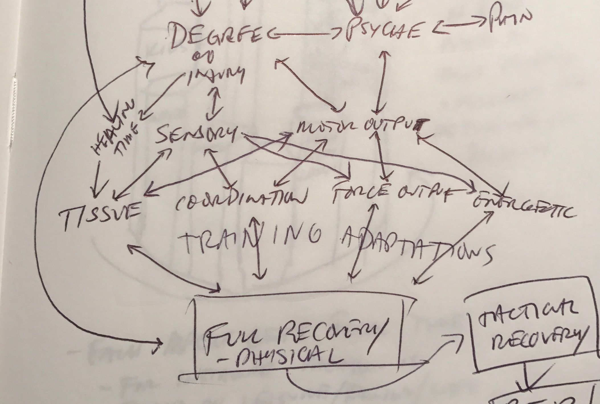 From my Notebook:  How Long Will It Take to Recover From [Insert Injury Here]?
