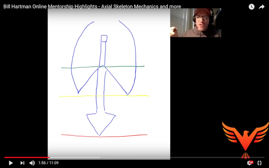Mentorship Call Highlights – Thorax Mechanics, Gait, and Guts