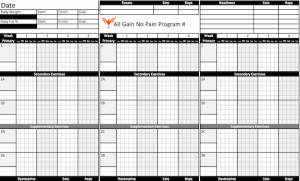 Weightlifting Template Excel from billhartmanpt.com