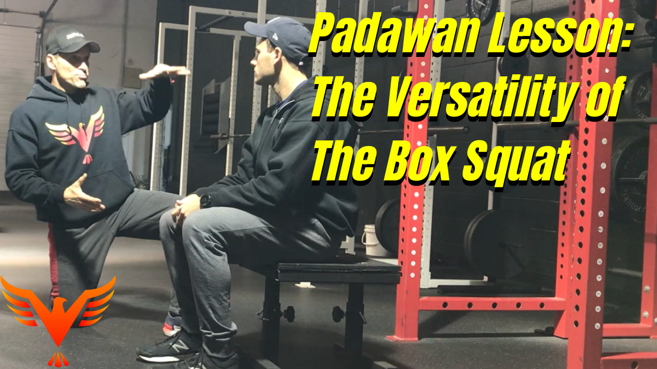 Padawan Lesson:  The Versatility of The Box Squat