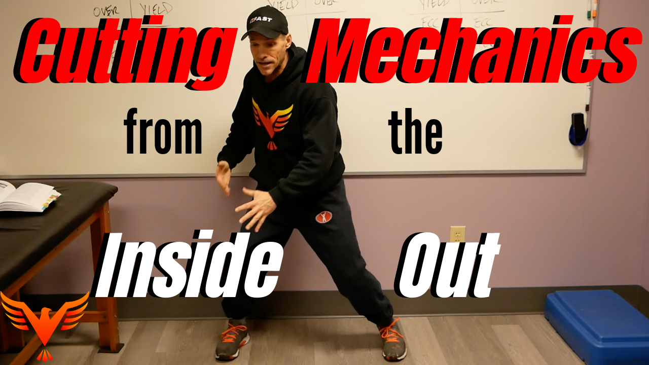 Cutting Mechanics from The Inside-Out