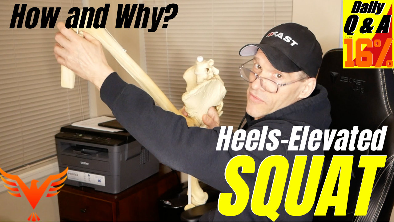 Q & A for The 16% – How and Why? – Heels-Elevated Squat