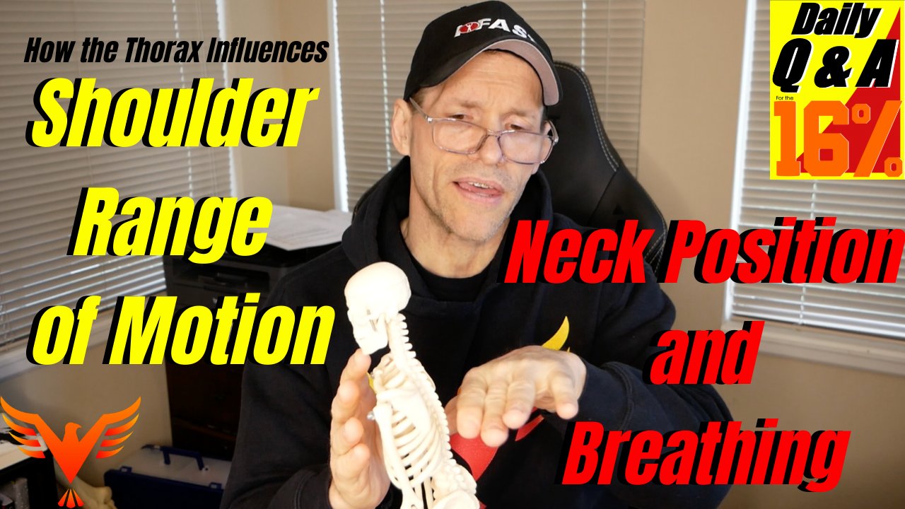 Q & A for The 16% – How the Thorax Influences the Shoulder – How Your Neck Influences Breathing